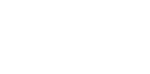 light logo